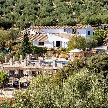 Hacienda La Buena Vida B&B En Appartementen Casita La Bruja Algarinejo Quarto foto