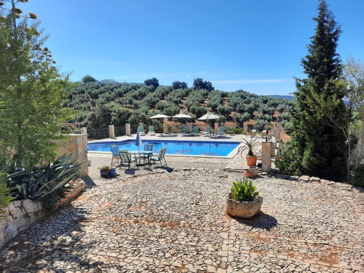 Hacienda La Buena Vida B&B En Appartementen Casita La Bruja Algarinejo Exterior foto