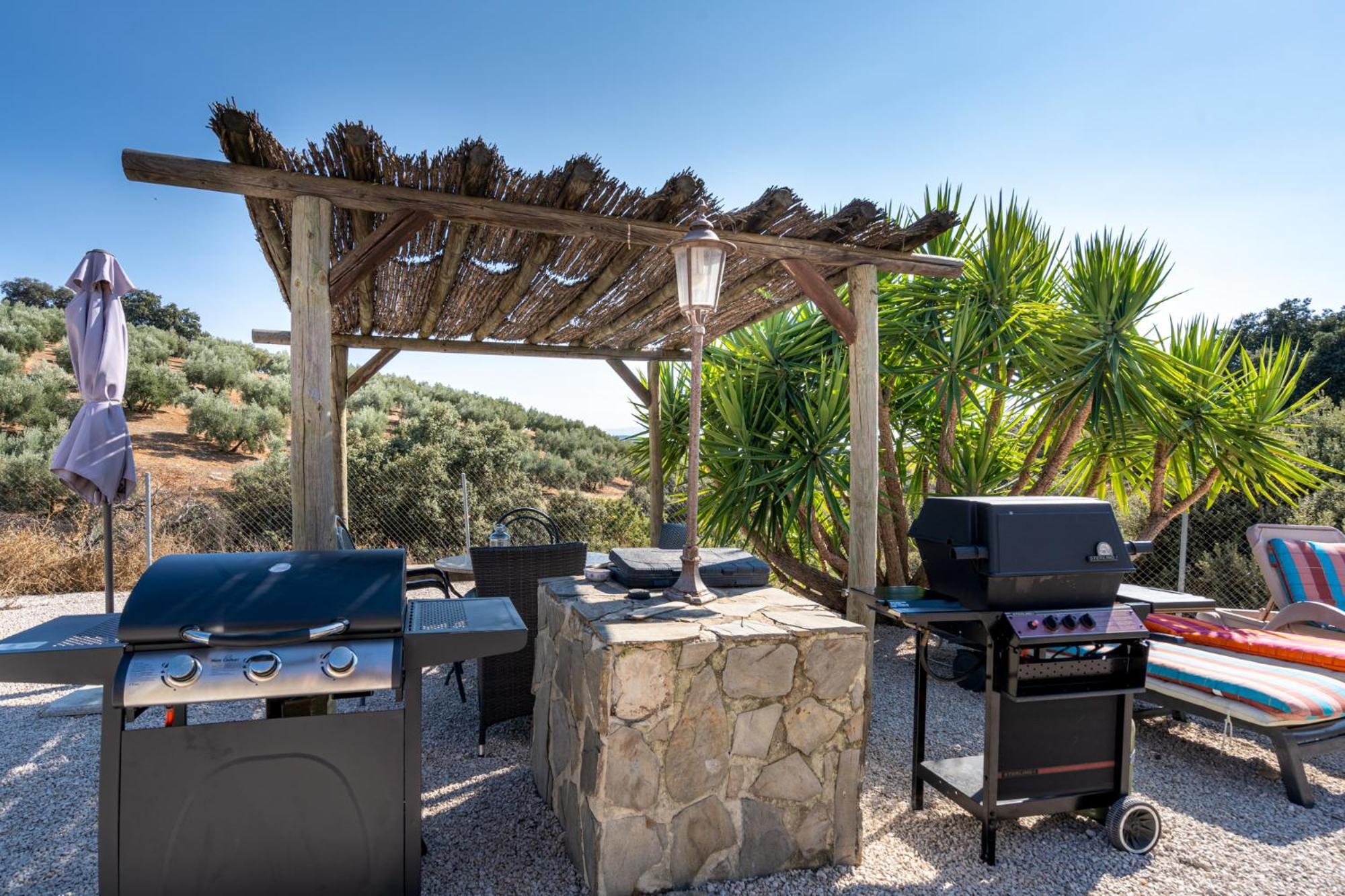 Hacienda La Buena Vida B&B En Appartementen Casita La Bruja Algarinejo Quarto foto