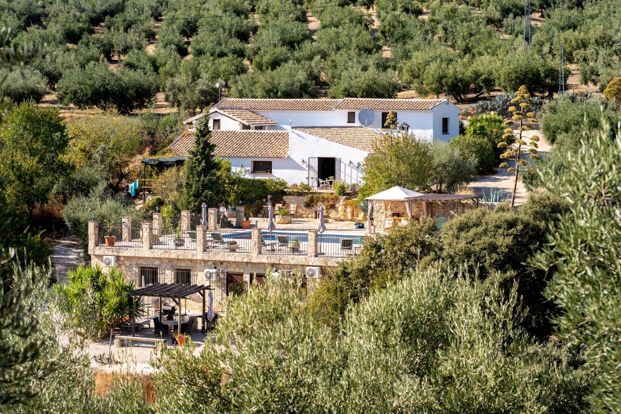 Hacienda La Buena Vida B&B En Appartementen Casita La Bruja Algarinejo Quarto foto